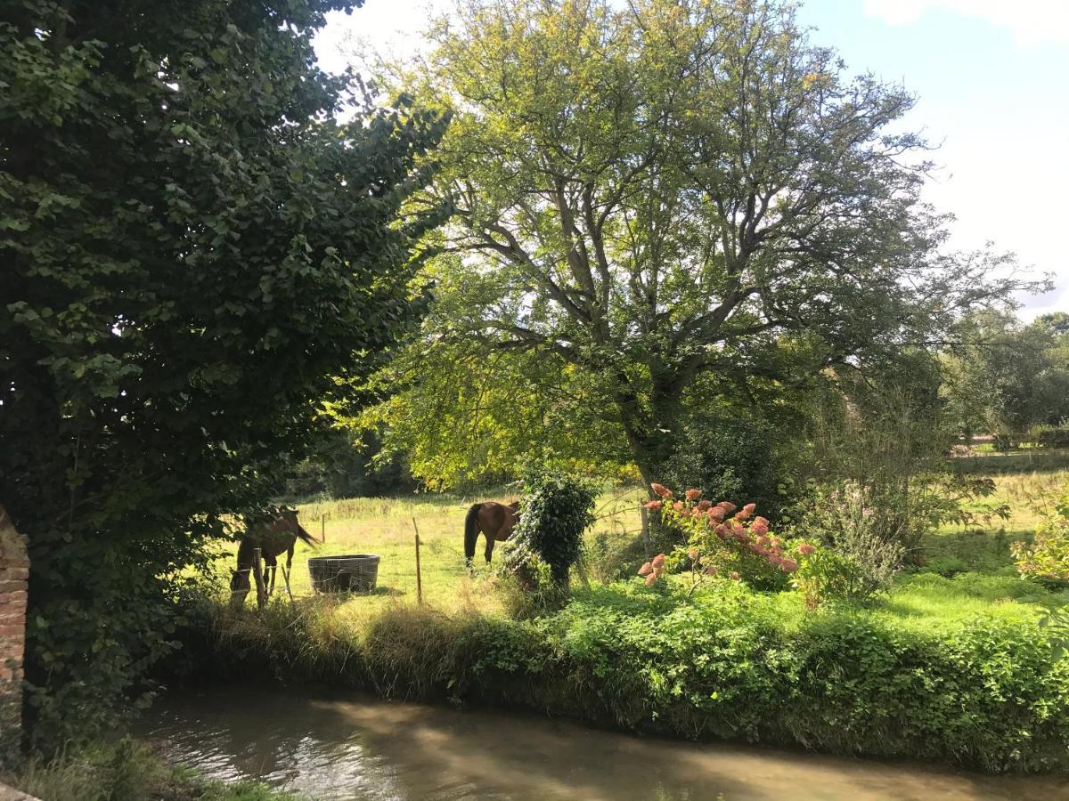 Maison Au Bord De Riviere , Proche De La Mer- Spa Semi Rigide Plein Air En Option Bacqueville-en-Caux Εξωτερικό φωτογραφία